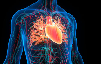 Heart Failure Treatment in Germany