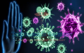 The Immune System’s Generals: How Dendritic Cells Orchestrate Anti-Cancer Attacks in Germany