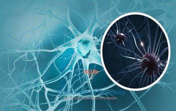 Cancer Treatment with Dendritic Cells in Germany